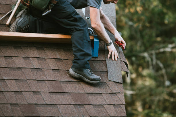 Best Metal Roofing Contractor  in Jewett City, CT
